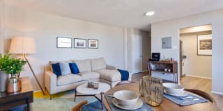 Vesty Park Gallery 10