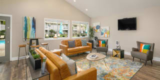 Village Fair Gallery 5