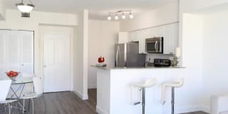 Intracoastal Yacht Club Gallery 33