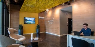 Sundodger Gallery 13