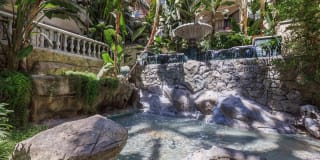 The Orsini Gallery 25