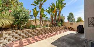 10974 Caminito Tierra Gallery 11