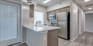 Olympus at Ten Mile Gallery 19