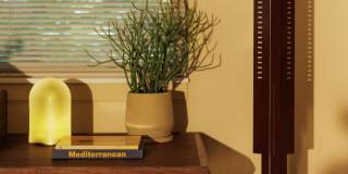 Settlement Place Gallery 149