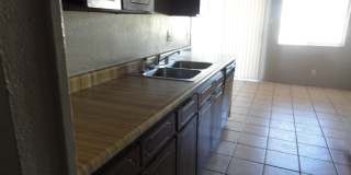 2028 Amy Sue Drive Gallery 7