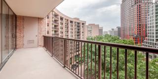 Crystal Place Gallery 55