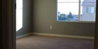SHOWINGS AVAILABLE NOW Gallery 19