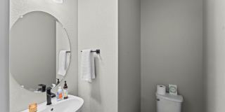 8067 Grey Bark Way Gallery 5