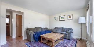 60 Evergreen Avenue Gallery 11