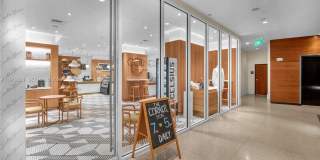 6799 Collins Ave Gallery 19