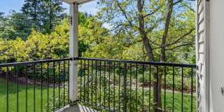 Murrayhill Park Gallery 17