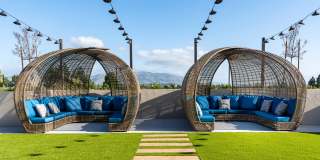 The Tolman Gallery 4