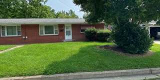 Extremely sharp, clean and roomy 2 BR Duplex in great location in Normal Gallery 1