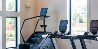 Isla Palmetto Gallery 15