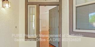 1732 Bamboo Street Gallery 2