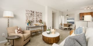 Northpark Place Gallery 24