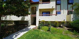 28015 Sarabande Lane Gallery 1