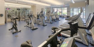 Woodmont West Gallery 11