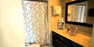 1753 BELLEAIR FOREST DRIVE Gallery 4