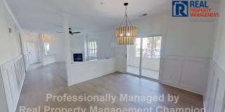 Beautifully Updated 2 BD/2 BA with Screened Porch & Modern Finishes Gallery 5