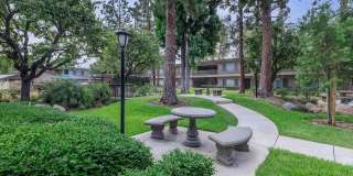 Saddleback Pines Gallery 5