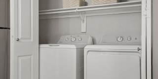 Bristol Grapevine Gallery 24