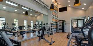 Cypress Gallery 18