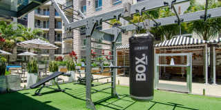 Vive on the Park Gallery 19