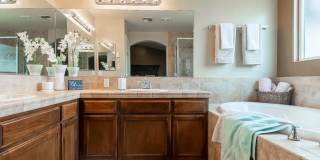 10825 Coronado Pointe Drive Gallery 6