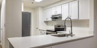 The Docks at Redmond Lakeview Gallery 47