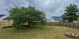Spacious 3 Bed 2.5 Bath Home with Fenced Backyard Gallery 21