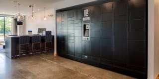 The Ellipse on Excelsior Gallery 16