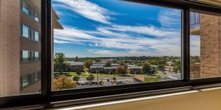 Cavalier Club Gallery 10