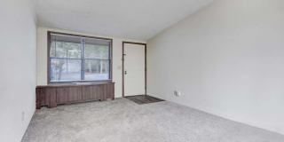 Dogwood Glen Apartments Gallery 3