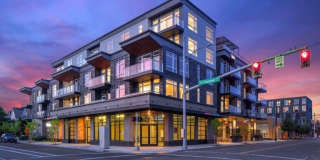 Solace Gallery 1