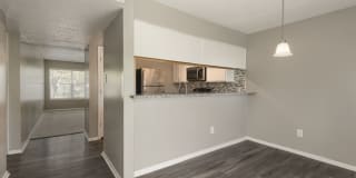 The Madrid Gallery 12