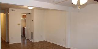 44 Lucinda Court Gallery 9