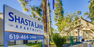 Shasta Lane Gallery 1