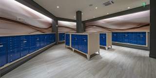 Avida Aventura Gallery 37