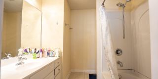 6794 ARCHING BRANCH Circle Gallery 12