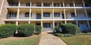 COMING SOON! Charming 2BR 1BA Apartment w/ On-Site Parking near Downtown Columbia, SC Gallery 1