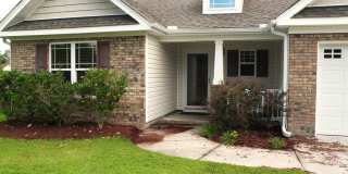 Fresh Paint and New Carpet! Gallery 1