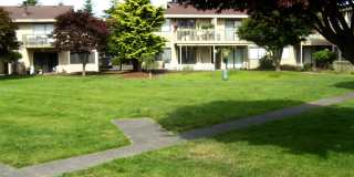 Bryn Mar Village Gallery 12