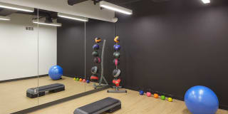 Ambassador Gallery 13