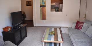 Ozark Plantation Gallery 10