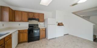 12811 HUNTING BEAR Gallery 11