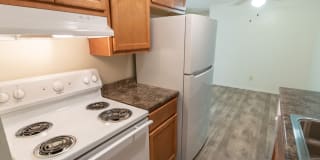 Aspen Village Gallery 8