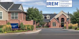 Camden Caley Gallery 30