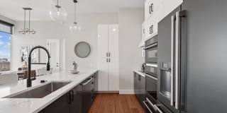 Josephine Gallery 62