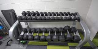 Emily Dickinson Gallery 22